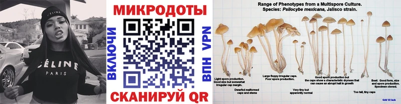 Галлюциногенные грибы MAGIC MUSHROOMS  Купить  Белая Калитва 